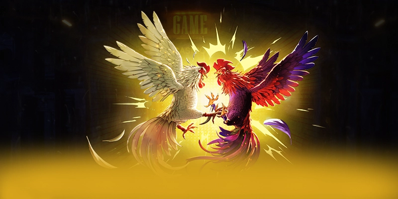 Độ tin cậy tài khoản tại 8xbet